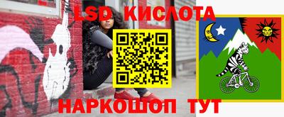 ПСИЛОЦИБИНОВЫЕ ГРИБЫ Пугачёв