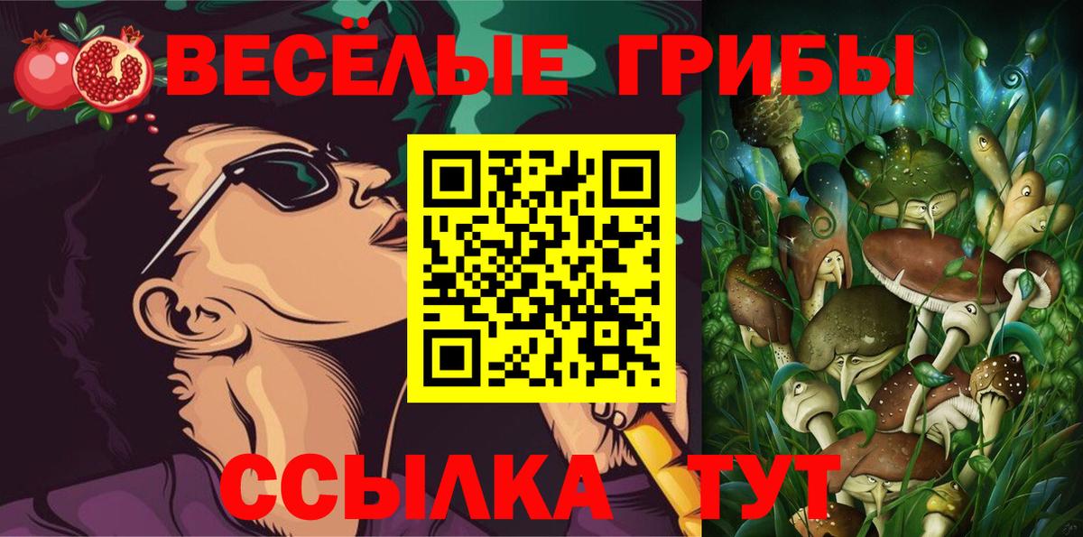 Галлюциногенные грибы GOLDEN TEACHER Северск