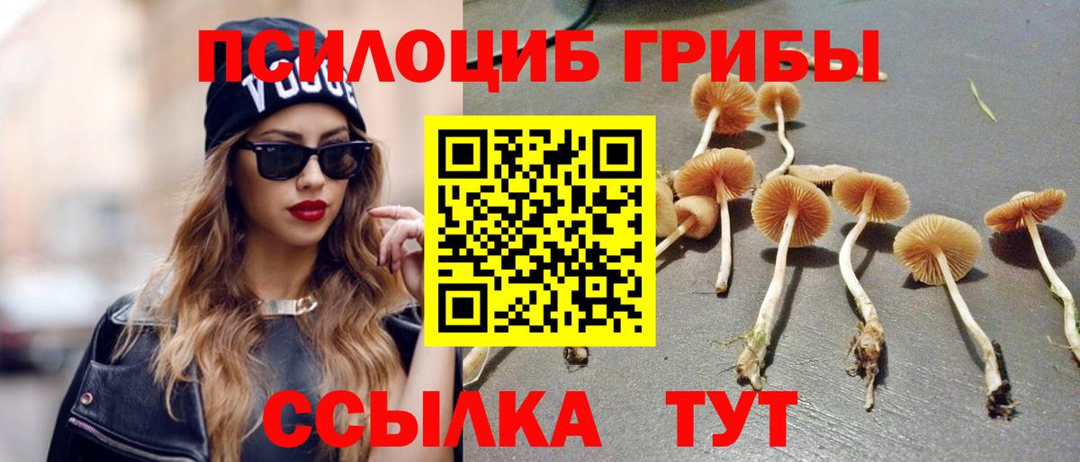 что такое   Вход с VPN  Северск  Галлюциногенные грибы ЛСД 